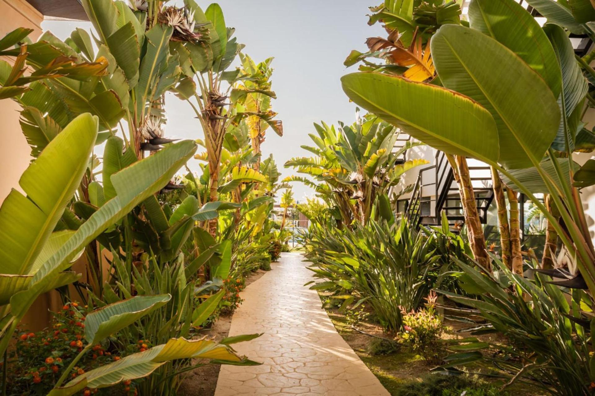 Alegria Palacio Mojacar - Adults Only المظهر الخارجي الصورة